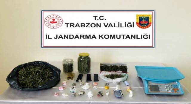 Jandarmadan uyuşturucu operasyonu