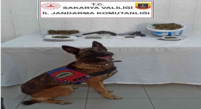 Jandarmadan uyuşturucu operasyonu: 2 gözaltı