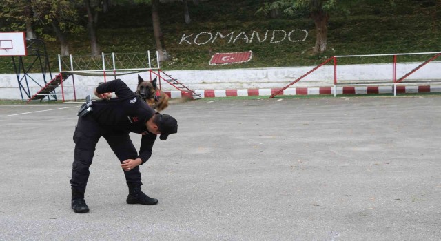 Jandarmanın hassas burnu Şila