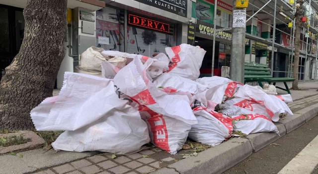 Kaldırıma yığılan hafriyat torbaları geçişi engelliyor