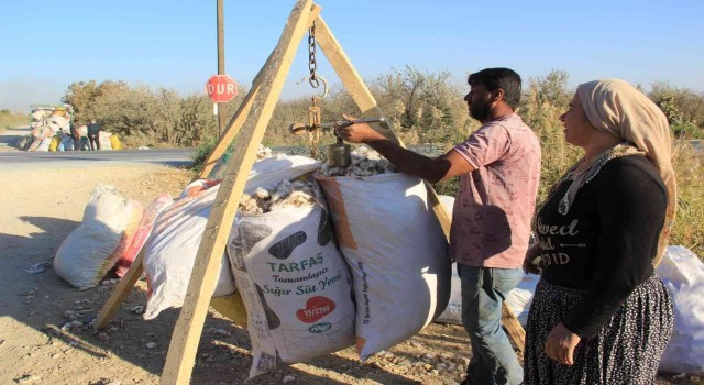 Kalıntı pamuklar ekonomiye kazandırılıyor