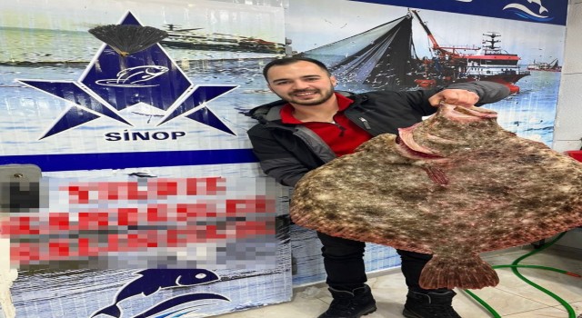 Karadenizde avlanan dev kalkan balığı 6 bin TLye satıldı