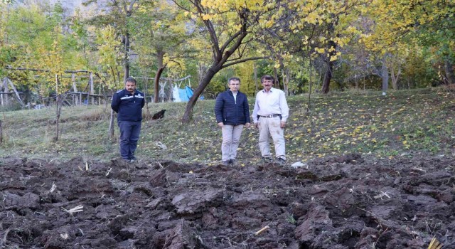 Karnavas pekmezine fidan desteği