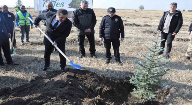 Karsta fidanlar toprakla buluştu