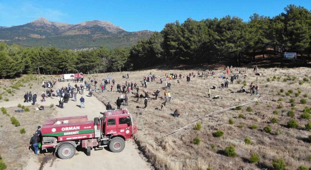 Kazdağlarında Mili Ağaçlandırma Gününde fidanlar toprak ile buluştu