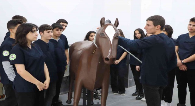 Konuşan maket at ve sığır ile hem eğleniyorlar hem öğreniyorlar