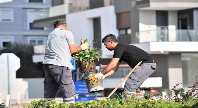 Konyaaltında kış hazırlıkları