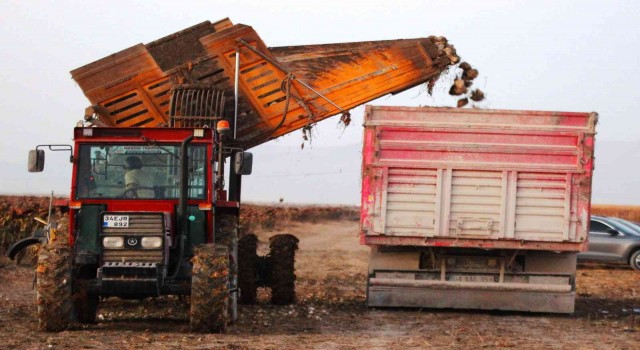 Konyada 1 milyon dekar alanda şeker pancarı hasadı devam ediyor