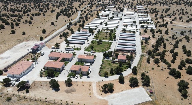 Konyadaki hayvana eziyet olayı ile ilgili soruşturma başlatıldı