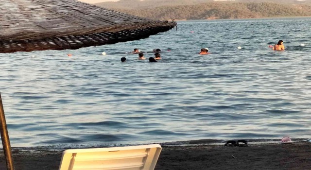 Köyceğizde Kasım ortasında sıcaklık 29 dereceyi gösterdi