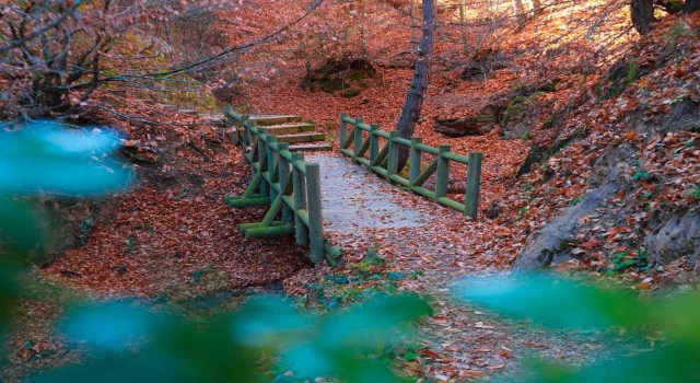 Küçükelmalı Tabiat Parkında kartpostallık görüntüler oluştu