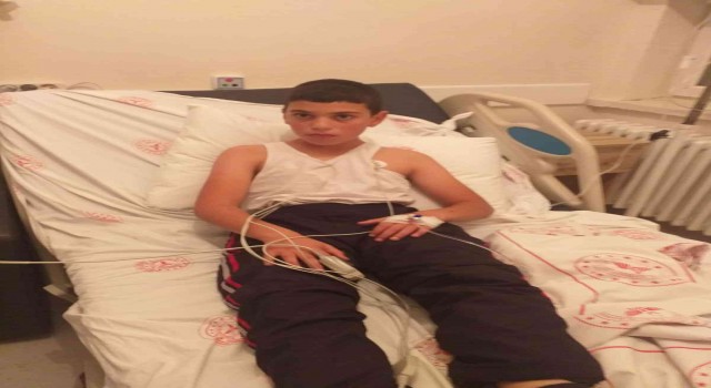 Kuduz teşhisi konulan çocuk hayatını kaybetti