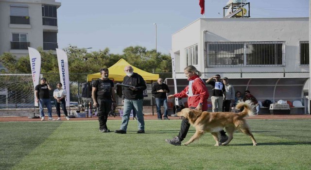 Kuşadası geleceğin arama kurtarma köpeklerini ağırladı