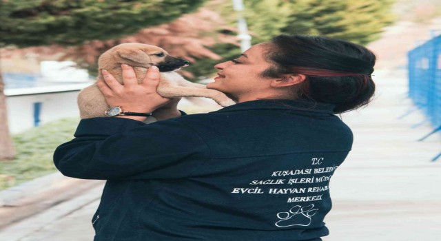 Kuşadasındaki hayvan rehabilitasyon merkezi internetten canlı olarak izlenebiliyor