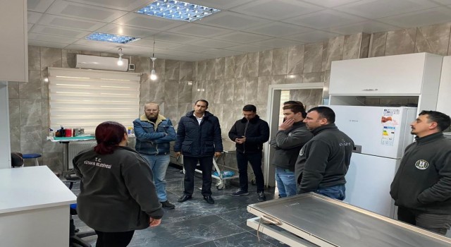 Kütahyada sokak hayvanlarına belediye şefkati
