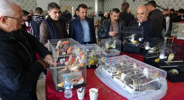 Kütahyadaki Kuş Borsasına ilgi