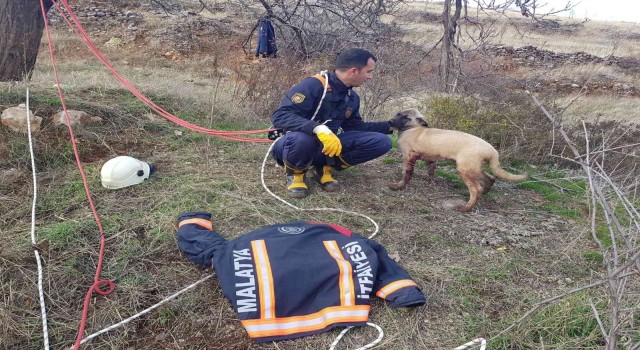 Kuyuya düşen köpek için zamanla yarıştılar