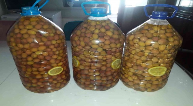 Laçinde salamura işlemi başladı