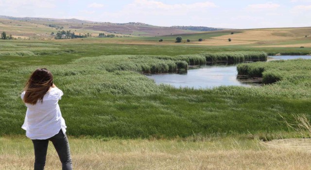 Mahkeme kararını verdi, Kaz Gölü kurtuldu