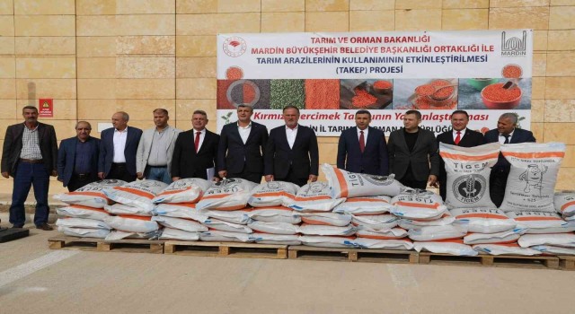 Mardinde 13 milyon liralık tohum projesi