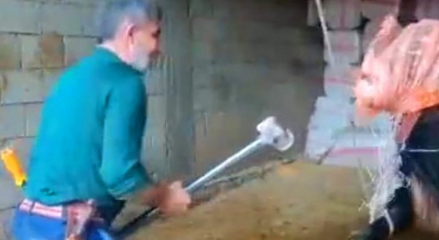Mardinde boğanın kafasına balyoz ile vuran kasap gözaltına alındı