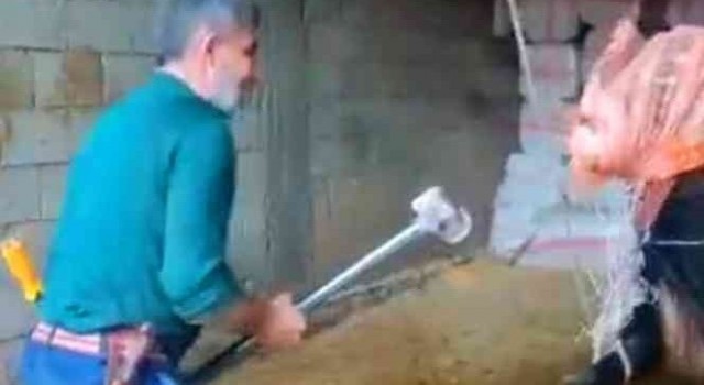 Mardinde boğaya balyozlu şiddette 3 kişi tutuklandı
