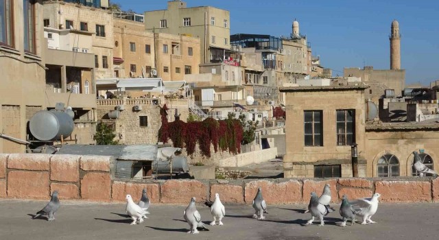 Mardinde taklacılar tescil edilmeyi bekliyor