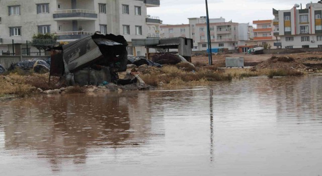 Midyatta evleri su bastı, yollar göle döndü; vatandaşlar belediyeye tepki gösterdi