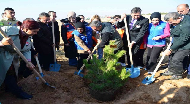 Milli Ağaçlandırma Gününde toprak fidanlarla buluştu