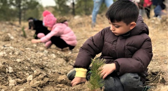 Minik eller fidanları toprakla buluşturuyor