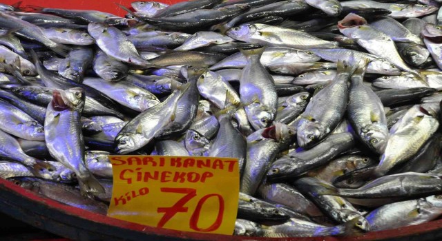 Mudurnuda pazar tezgahlarında balık bolluğu