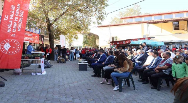 Muğlada Çilek Projesi büyümeye devam ediyor