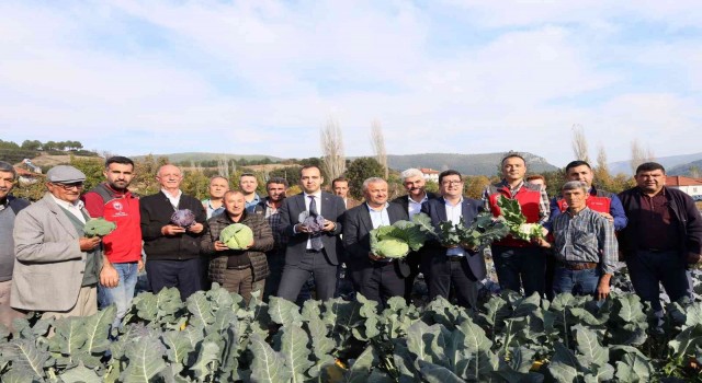 Muğlada kışlık sebze üretimi projesinde hasat zamanı