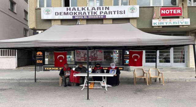 Muşta annelerin evlat nöbeti 81inci haftaya girdi