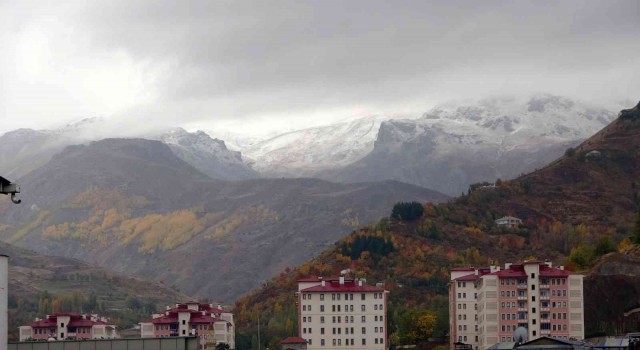 Muşun yüksek kesimlerine mevsimin ilk karı yağdı