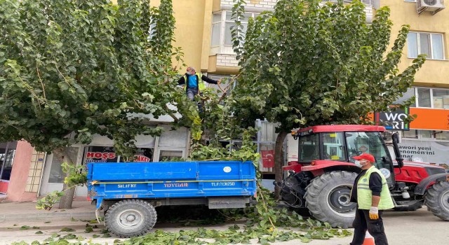 Mutta temizlik çalışmaları