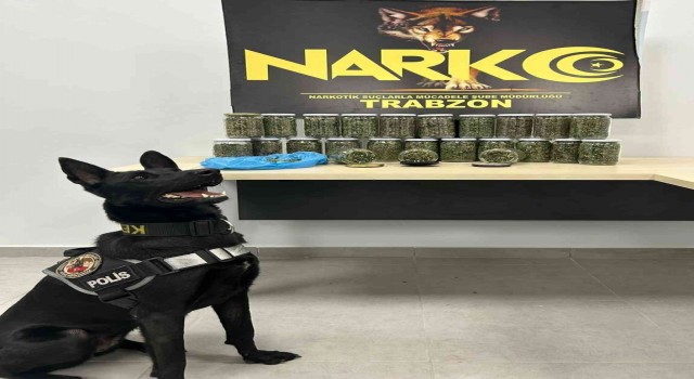 Narkotik köpeği İda iş başında