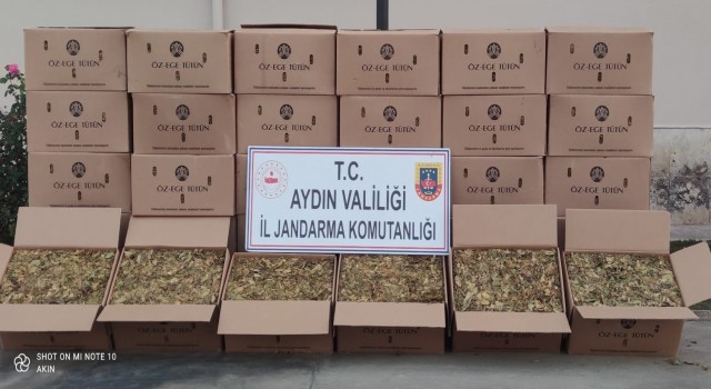 Nazillide 720 kilo kaçak tütün ele geçirildi