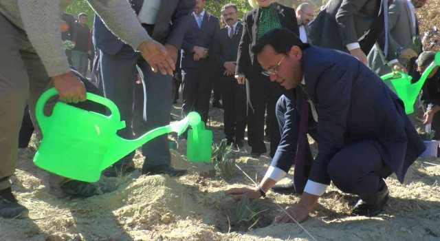 Nevşehirde 66 bin 660 lavanta toprakla buluştu