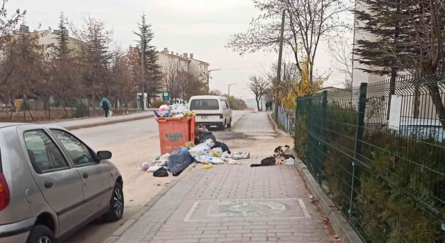 Odunpazarında konteynerden taşan çöpler kaldırımı kapladı