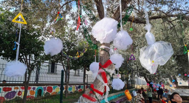 Okul bahçesindeki zeytin ağaçlarının hasadı yapılıp yağı çıkarıldı
