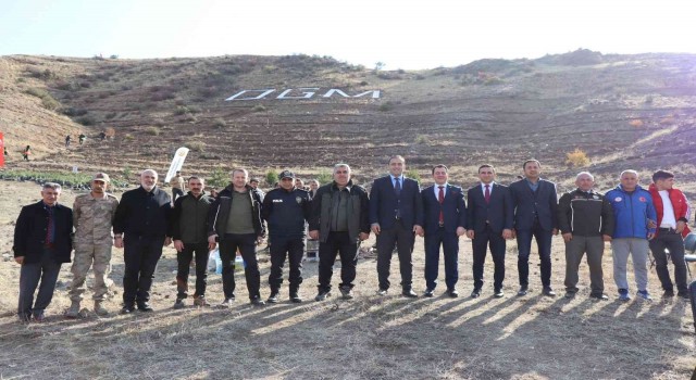 Oltuda 5 bin ağaç toprakla buluştu