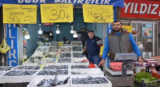 Orduda tezgahlarda hamsi bolluğu: Fiyatı 30 liraya düştü