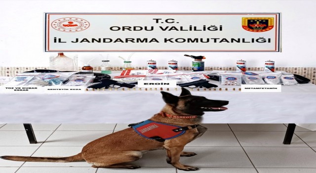 Orduda uyuşturucuya geçit yok
