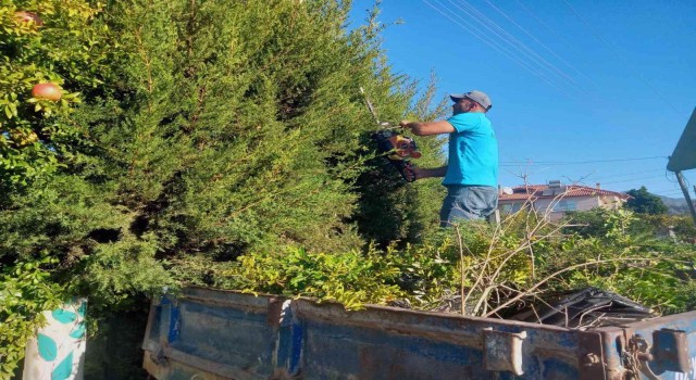 Ortacada yeşil alanlarda bakım ve temizlik çalışması
