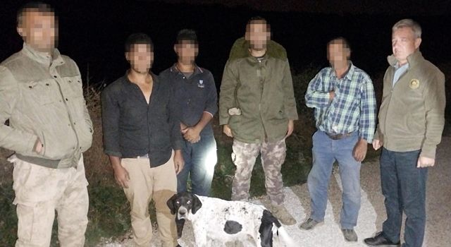Osmaniye’de oklu kirpi avlayan 3 kişiye 9 bin 81 lira ceza kesildi