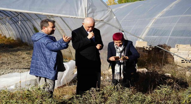 Paraguay Büyükelçisinden Kastamonuda tıbbi aromatik bitkiler üzerinde inceleme
