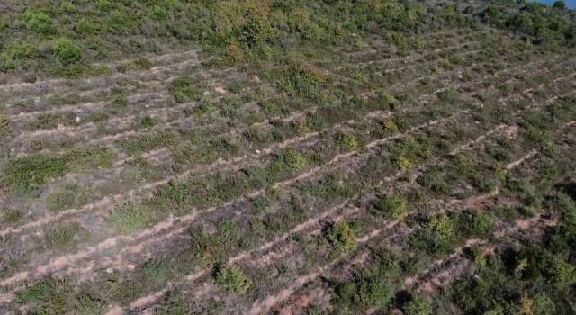 Pendikte Aydos Ormanında PKKlı teröristin yaktığı ormanlık alanın son hali havadan görüntülendi