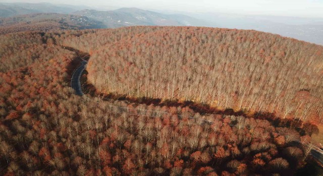 Perşembe Yaylasında sonbahar güzelliği