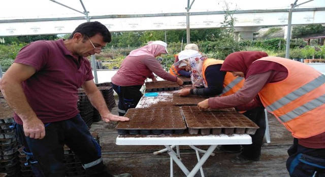 Peyzaj bitkilerinin yüzde 80i belediye seralarında yetişiyor